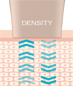 DENSITY  TECHNOLOGY